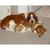Lisa Legarza's photo