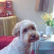 Angie Burke Lyness's photo