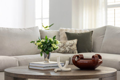 Transitional living room photo in Houston
