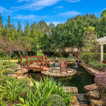 Pond Ideas