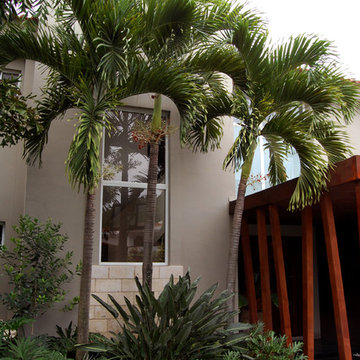 Orchid Colector