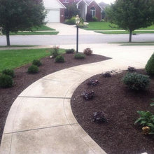 Landscape Ideas