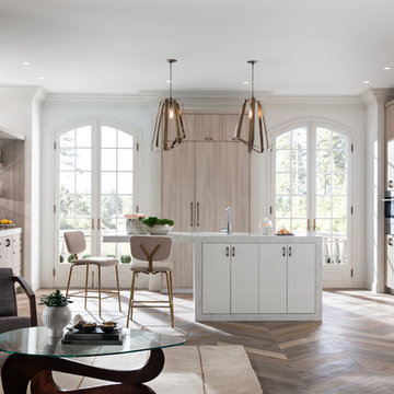 Contemporary Kitchen with Metropolis Door in Silver Elm