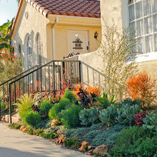 Orange Home Landscape