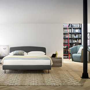 Design ideas for a mid-sized modern loft-style bedroom in Other with white walls, light hardwood floors, brown floor, no fireplace and a concrete fireplace surround.