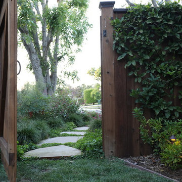 Enter the backyard