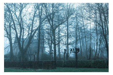 "Bruges In Winter" Limited Edition, Photograph