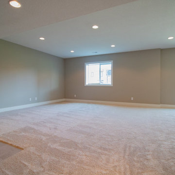 Altoona Ranch Forced Walk-out Basement