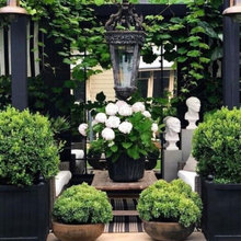 Aesthetic • Modern Zen Elegance