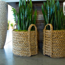 interior plant ideas