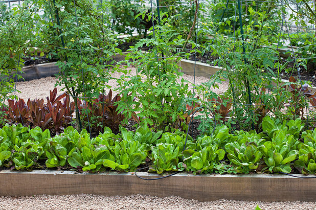 Garden by Edible Earth Resources