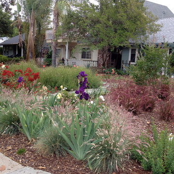Turf Removal to Beautiful Garden for Birds, Bees, and Butterflies