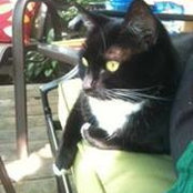 Shawna O'Hearn's photo