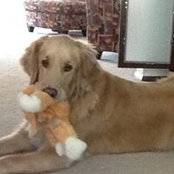 Nancy Matusofsky's photo