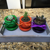 kathie shea's photo