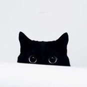 Cath Acosta's photo