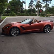 Dennis Williams's photo