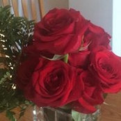 Nancy Furtney's photo