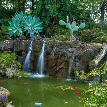 Holupuni