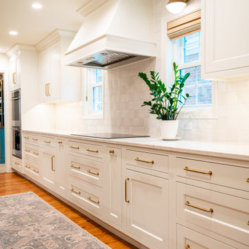 Mt. Prospect Project: Kitchen, Pantry, Bath & Living Room Built-ins