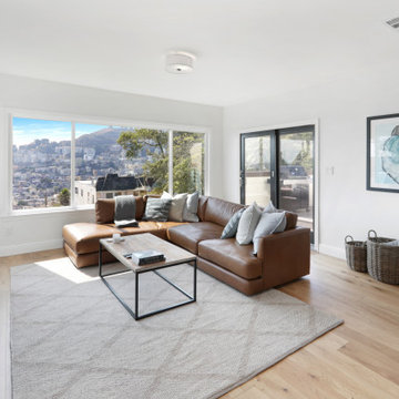 San Francisco, Buena Vista Condo Remodel
