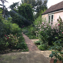 My Garden In Hove