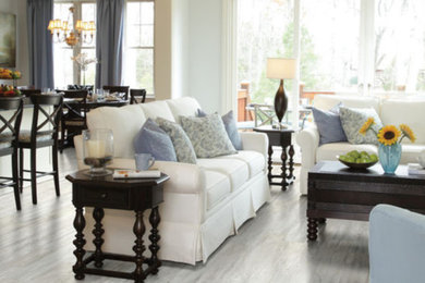 Living room - transitional living room idea in Minneapolis