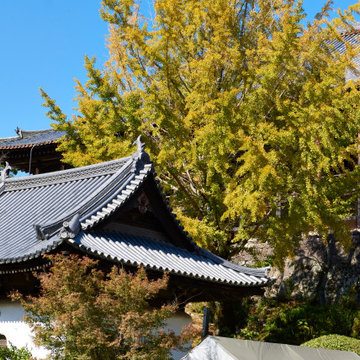 Travel Photography Japan