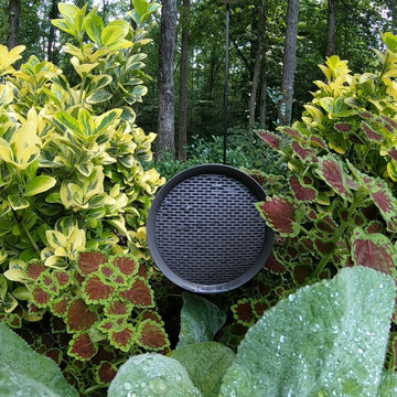 Outdoor Audio (Sonance SLS System & Garden Series)