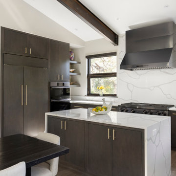 Chic Colorado Contemporary