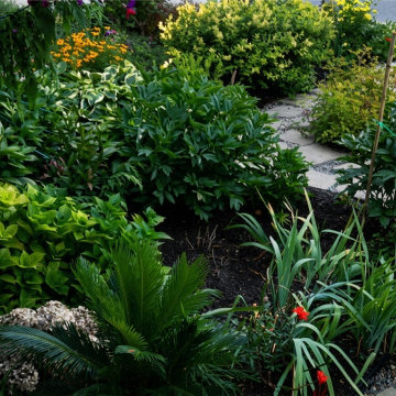 Landscape & Walkway