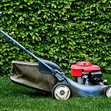 Gardening