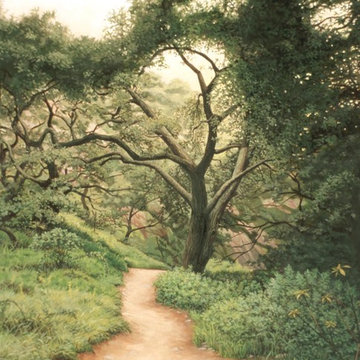 Canyon Oak