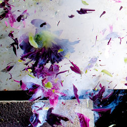 Boiling Crash Flower series - Photographs