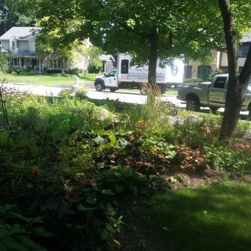 Rockford mulch-less front yard