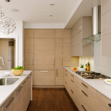 Washington D.C. - Contemporary - Kitchen Design