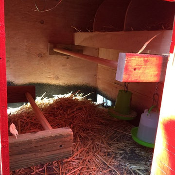 La Crescenta Chicken Coop