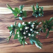 Claudia Roy's photo