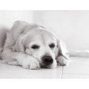 Jimmy Ye's photo