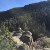 Foto von Taylor Williamson