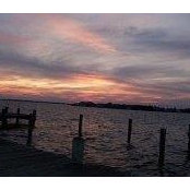 Sandy Hayward's photo
