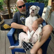Rob Wilsons billede
