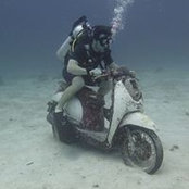 Ryan Low's photo