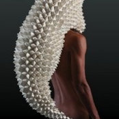 Foto von LSdesign Creatif