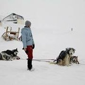 Emily Dogwalkers foto