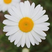 Nannette Hall's photo