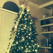 Jennifer Lundy's photo