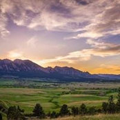 Stephen Ross's photo