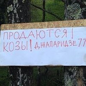 Foto de Maxim Klimenko