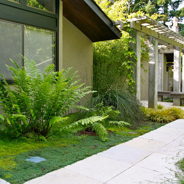 Concrete columns in Palo Alto